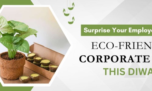 Surprise Your Employees with Eco-friendly Corporate Gifts this Diwali