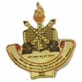 Lapel Pins